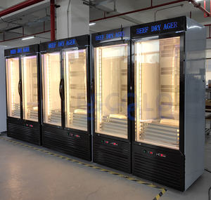 Ticari kuru yaş et ekran buzdolabı vitrin sığır kuru yaşlanma kabine dondurucu özel yapışkan ile buzdolabında - Product Image 6