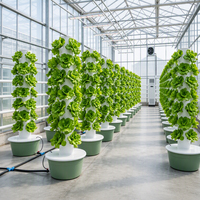Tour aéroponique verticale avec système de pompage d'irrigation automatique, équipement de culture commercial peu encombrant