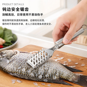 Removedor de escamas de pescado manual de acero inoxidable Chef Season Show, engrosado, para limpieza de mariscos - Product Image 5