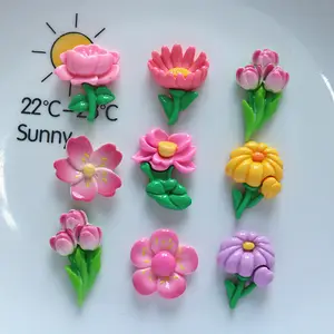 Bright face Plants flowers DIY handmade accessories Crocs shoes on decorative materials North 12 beads plastic resin charms