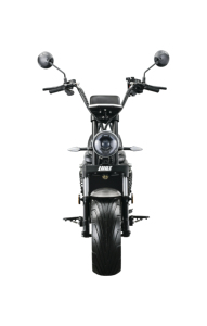 60V 1000W Brushless Street Legal Sportbikes Puissant Électrique EEC Approuvé Batterie Au Lithium Streetbikes 50-60KM Portée 45 km/h <span class=keywords><strong>Max</strong></span> - Product Image 3