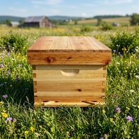 Kit complet de ruche Langstroth en cire bouillie, ruche à 10 cadres avec superbes, équipement et pièces d'apiculture pour apiculteurs professionnels