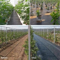 Toile tissée verte en polypropylène anti-mauvaises herbes pour l'agriculture – Prix direct usine