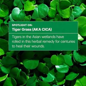 Tiger Grass Crema de tratamiento corrector de color Spf 30 calma el aspecto de blanqueamiento rojo Protección solar Ocultar espinillas Crema facial - Product Image 2