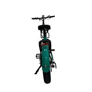 Bicicleta Eléctrica Plegable Qianjiang MP01 1000W 48V con Batería de Iones de Litio, Velocidad Máxima <40km/h CN;<span class=keywords><strong>BEI</strong></span> - Product Image 6