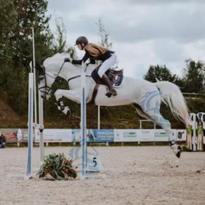 Customized High Quality <strong>Aluminum</strong> Horse <strong>Jump</strong> Obstacles PVC <strong>Jump</strong> Poles Equestrian <strong>Show</strong> Jumping Equipment - Product Image 6