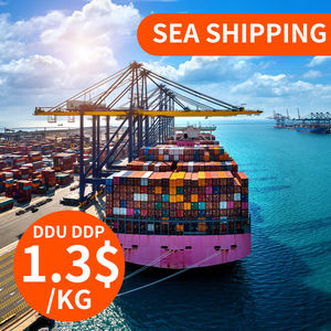 Agent de logistique DDP rapide, expédition express par voie maritime et aérienne, transitaire de Chine vers Oman, Arabie Saoudite, EAU - Product Image 2