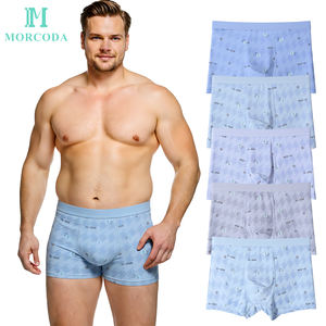 <span class=keywords><strong>2026</strong></span> नए डिजाइन उच्च गुणवत्ता वाले सांस पर्यावरण के अनुकूल एंटी-बैक्टीरियल मिड-राइज त्वरित सूखे पुरुषों नायलॉन बॉक्सर ब्रिकी ठोस मिश्रण रंग - Product Image 1