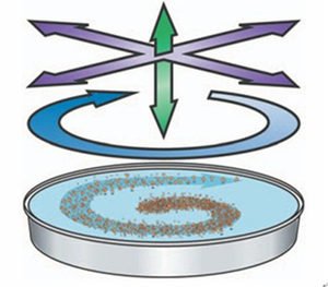 Cribadora de fertilizantes, tamiz vibratorio circular, tamiz vibratorio redondo de acero inoxidable - Product Image 2