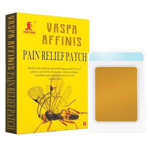 Prof.Ding OEM Parches para aliviar el dolor de hombro Parche de terapia magnética Parche para aliviar el dolor de rayos infrarrojos lejanos 6 unids/caja - Product Image 1