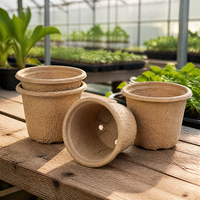 Pots de semis en pulpe de papier biodégradable, 4 trous de drainage, écologiques, pour semis et plantes.