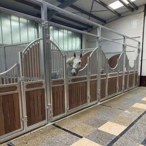 Boîte d'écurie pour chevaux galvanisée de luxe personnalisée de 4.2m Équipement de vente Écurie pour chevaux d'extérieur portable à cadre en acier avec toit Stalel - Product Image 5