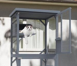Catio في الهواء الطلق حاوية خشبية كبيرة مع تشغيل على عجلات ، كاتيو القط في الهواء الطلق/في الأماكن المغلقة 64 "للقطط متعددة - Product Image 6