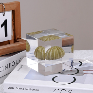 Diorama de resina oceánica Mini cubo del <span class=keywords><strong>mundo</strong></span> submarino para Navidad festiva Acción de Gracias Año Nuevo chino Día de San Valentín Día de la madre - Product Image 6