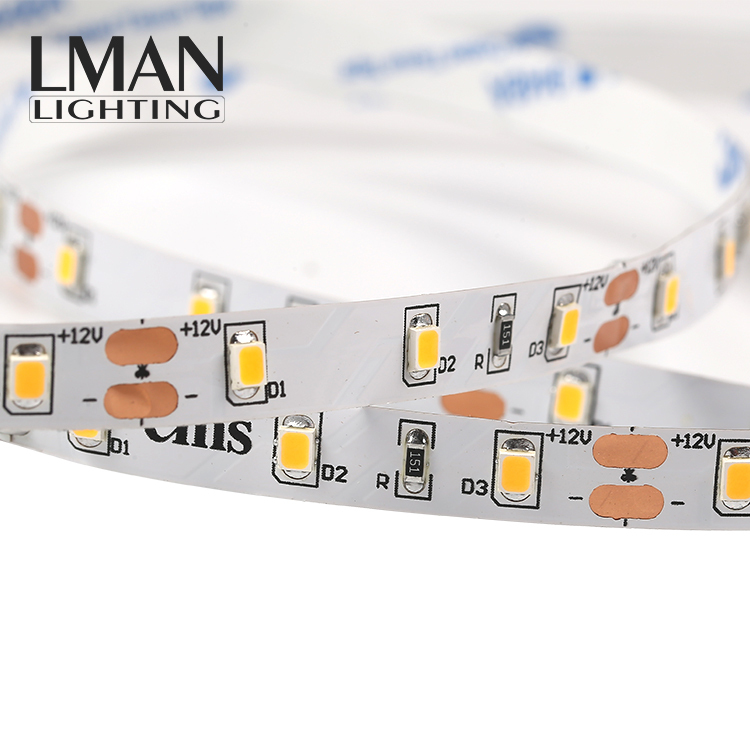 Indoor Decoration Bare Board Digital Strip Full Color Dc12v 24v 60leds/m 4.8w Smd 2835 Led Strip Light