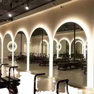 LED <strong>Mirror</strong> <strong>for</strong> <strong>Gym</strong> and Yoga Studio Wall-Mounted and Floor-Mounted Color-Changing Light Feature - Product Image 3