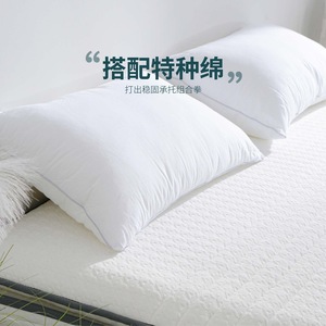 Hybrid Mattress <b>Memory</b> <b>Foam</b> 250mm Firm Orthopedic Support Minimalist Design - Product Image 3