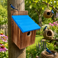 Nichoir en bois massif pour oiseaux, nichoir suspendu pour l'extérieur, nichoir pour oiseaux bleus pour jardin, patio, cour
