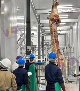 Personnaliser la petite machine d'abattoir de bovins <span class=keywords><strong>halal</strong></span> 30 équipement d'abattage de vaches de <span class=keywords><strong>boucherie</strong></span> bovine - Product Image 5