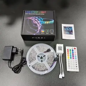 CE ROHS Waterpoof Dream Color 5050RGB Kits DC 12v 24v App Remote Control Flexible Led Strip Lights For Recreation Place