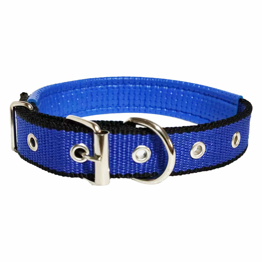 Azul con borde negro