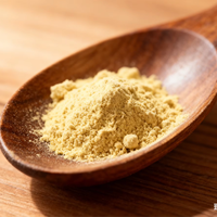 Thé aux herbes de Dendrobium officinale de qualité supérieure, 100 % naturel, extrait d'herbes, nourrit le yin, hydrate la sécheresse, améliore la qualité