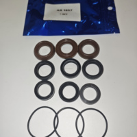Pièces de rechange en gros pour laveuses : Kit de joints d'étanchéité pour pompe à piston Annovi Reverberi 18 mm, Code 1857, pour pompes AR