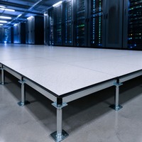 Lantai Keramik Anti-Statik Berbahan Baja untuk Pusat Data, Rumah Sakit, Ruang Server 600x600x40mm Panel Lantai ESD Inti Semen