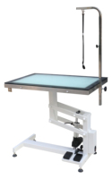 Table de toilettage professionnelle pour animaux de compagnie en acier inoxydable, pliable, électrique, avec fonction de levage et de coupe, design LED