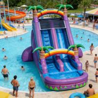 Toboggan aquatique gonflable sur le thème du paradis tropical, piscine à jets d'eau, équipement de jeu pour enfants, aventure sur l'île, qualité commerciale, respectueux de l'environnement