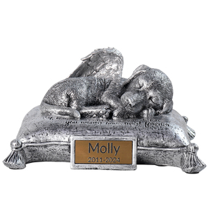 Urna conmemorativa para mascotas grabada personalizada con alas de Ángel para perro durmiente, contenedor personalizado para cenizas de mascotas para gatos y perros - Product Image 1