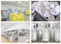 Gespraydroogd kokosmelkpoeder, voedingskwaliteit, voor plantaardige dranken & bakkerijproducten