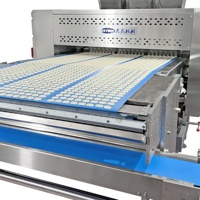 Fabrieksleveranciers Commerciële Producent Pretzels Zoutkoekjes Productie Volledige Biscuit Productielijn voor Kleine Capaciteit