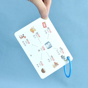 Cartes d'apprentissage éducatives numériques pour l'apprentissage précoce de l'alphabet anglais, enseignement de l'alphabétisation, impression couleur, vernis brillant pour - Product Image 4