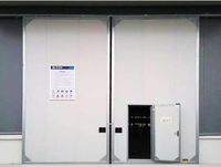 Porte coulissante industrielle électrique manuelle en acier, panneau isolé en mousse PU 50 mm 75 mm pour entrepôt et usine