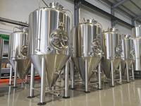 Fermenteur isobare conique à paroi simple de 600 L en acier inoxydable avec réservoir sous pression pour la fermentation primaire de l'alcool et trappe latérale
