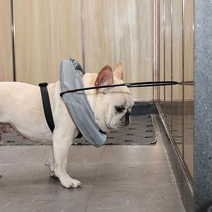 <b>Dog</b> Blind <b>Collar</b> <b>Dog</b> Protective <b>Collar</b> Training Waterproof Anti-Collision Ring <b>Dog</b> <b>Collar</b> Pet Neck <b>Collar</b> <b>Dog</b> Protective <b>Collar</b> - Product Image 4