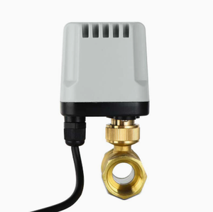 Vannes à boisseau sphérique électriques miniatures en laiton 2 voies, étanches et résistantes aux hautes températures, DN20-DN57, pour climatisation centrale, OEM Carp Journey Factory - Product Image 2