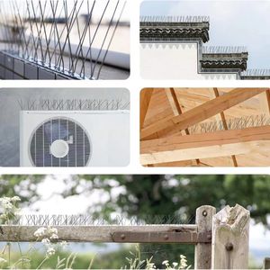 Groothandel Goedkope Ss304 <span class=keywords><strong>Bird</strong></span> Spikes Anti-Duif Home Afschrikmiddel Hoge Kosten Prestatie Outdoor Dierontwerp Voor Gebruik Op De Boerderij - Product Image 6