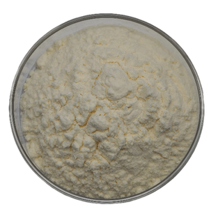 100% polvo de fruta de limón amarillo orgánico natural 100% polvo de jugo de limón - Product Image 2