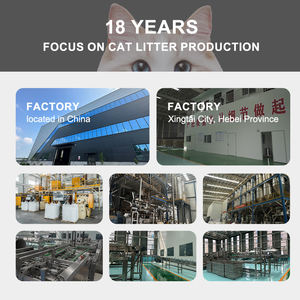 YOZA 100% Natuurlijke Cassave Kattenbakvulling - Stofvrij, snelklonterend, milieuvriendelijk, wit, 2,5 kg voor thuisgebruik - Product Image 5