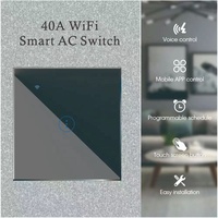 Vente en gros 40a Smart Life contrôle vocal Alexa Google Home climatiseur WiFi chauffe-eau interrupteur Wifi intelligent