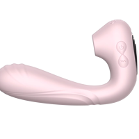 G-Punkt-und Klitoris stimulator für Frauen USB-betriebener weiblicher Vaginal vibrator mit 10-Gang-Klitoris-Saugfunktion