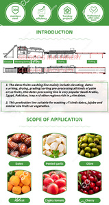 Machine automatique de tri et de pelage des fruits, machine de tri des avocats, ligne de tri, de lavage et de cirage des avocats de qualité supérieure - Product Image 6