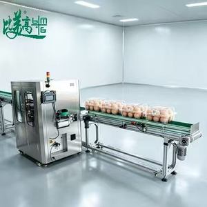 Máquina Integrada de Inspección de Huevos con Lectura de Etiquetas para Producción a Gran Escala de Empaque de Huevos - Product Image 1