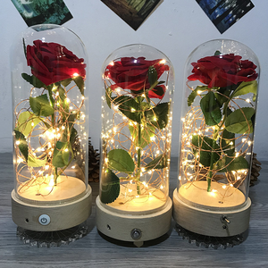 Ingrosso contenitore di fiori secchi decorazione di vetro casa cupola conservata rosa <span class=keywords><strong>In</strong></span> cupola di vetro con Base - Product Image 6