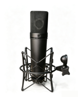 Microphone 34 mm, Condensateur plaqué or, Capsule, Studio d'enregistrement, Salle de diffusion en direct, Haute pression sonore, Haute sensibilité