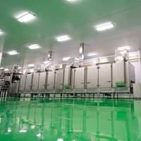 Four industriel à torréfaction continue pour noix avec système de contrôle réglable du flux d'air et de la température