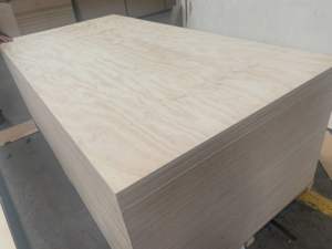 Arserwood <span class=keywords><strong>precio</strong></span> <span class=keywords><strong>de</strong></span> fábrica hoja <span class=keywords><strong>de</strong></span> madera contrachapada Lisa abedul eucalipto Álamo hojas <span class=keywords><strong>de</strong></span> madera contrachapada 12mm 15mm 18mm madera contrachapada para aislamiento - Product Image 4