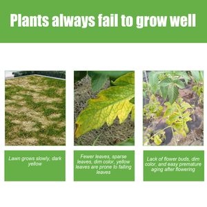 Alimento vegetal sólido de acción rápida 30G potenciador orgánico de césped y jardín para un crecimiento más verde y fuerte - Product Image 3